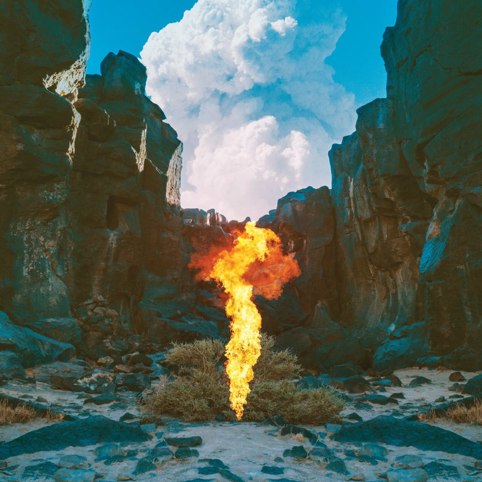 Migration - Front Cover