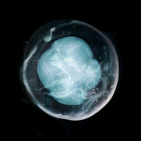 The Undivided Five - Front Cover