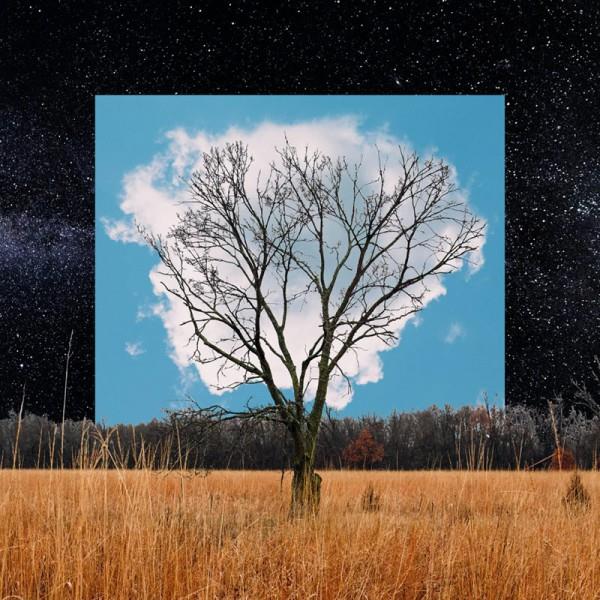 Bloom innocent - Front Cover