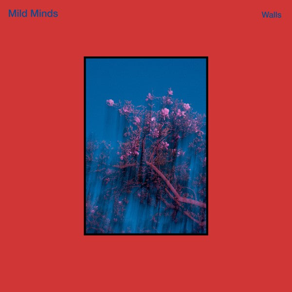 MOOD - Front Cover
