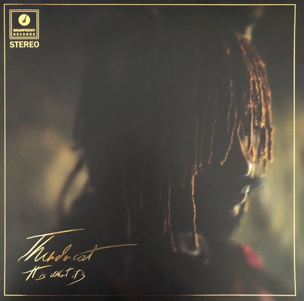 Thundercat - It Is What It Is
