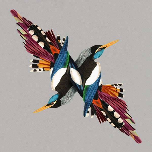 Tomorrow’s People - Front Cover