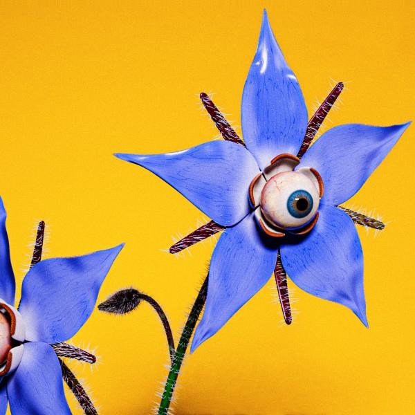 More Content - Front Cover