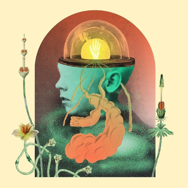 Akousmatikous - Front Cover