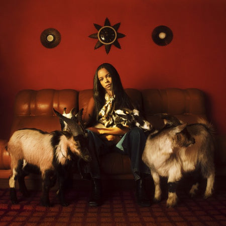 Capricorn Sun - Front Cover