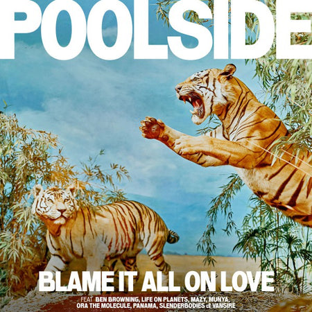 Blame It All On Love - Front Cover