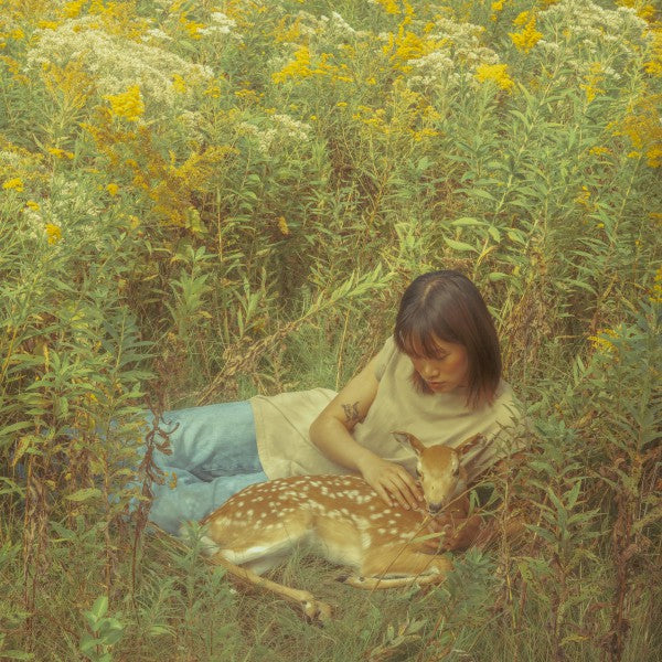 Flaws in Our Design - Front Cover