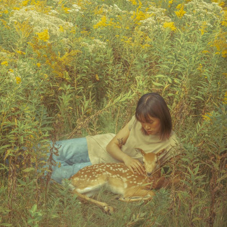 Flaws in Our Design - Front Cover