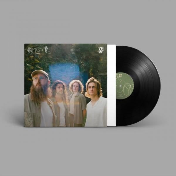 Alma’s Cove - Front Cover