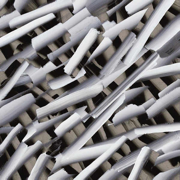 Ryou Cannon - Front Cover