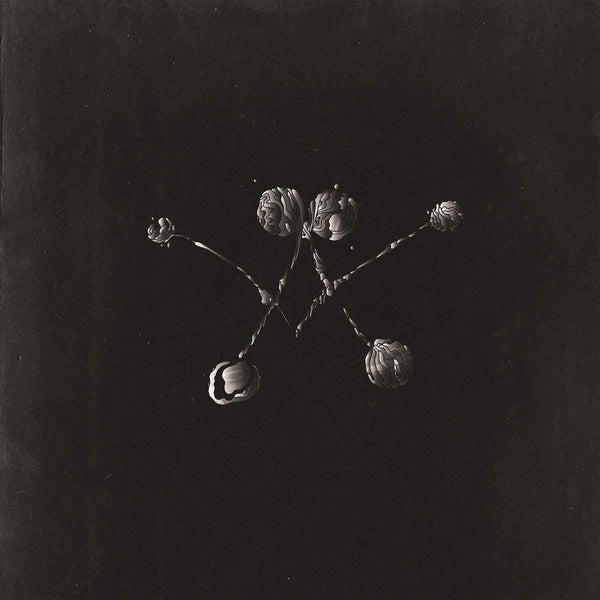 Nowhere Now - Front Cover