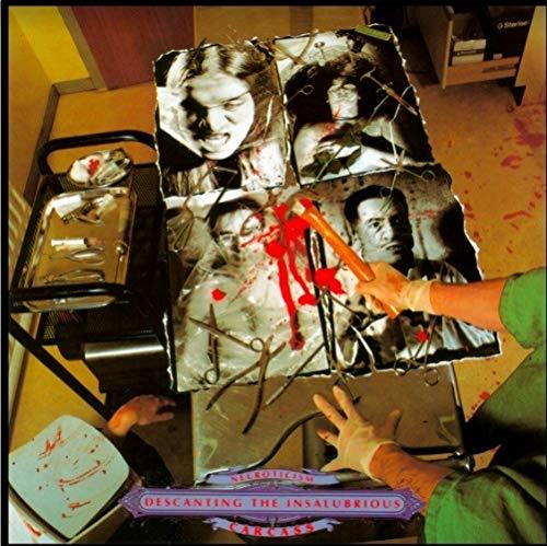 Necroticism - Descanting the insalubrious - Front Cover