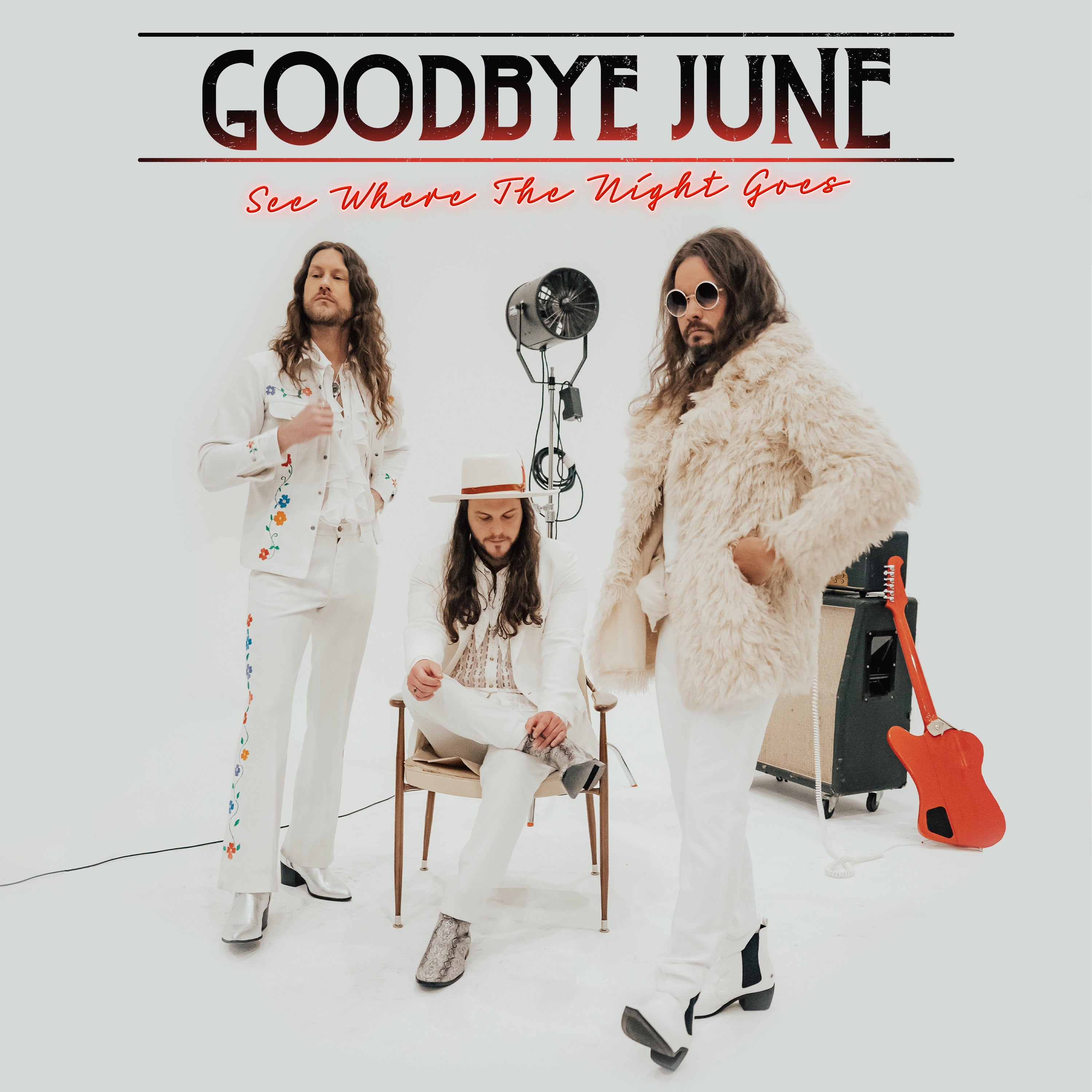SEE WHERE THE NIGHT GOES - Front Cover