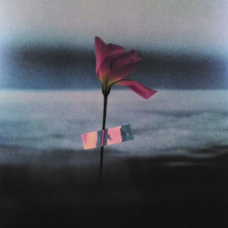 Paralanguage - Front Cover