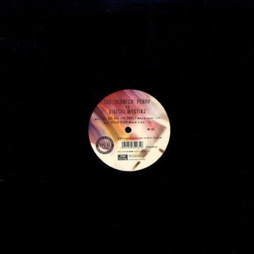 Like The Way You Should - Front Cover
