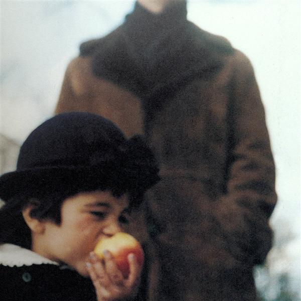 A Sea Of Trees (180 grm) - Front Cover