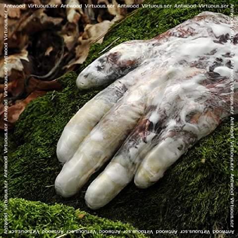 Virtuous.Scr - Front Cover