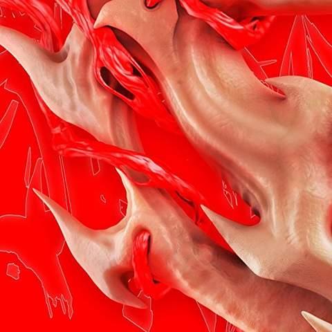 Flesh EP - Front Cover