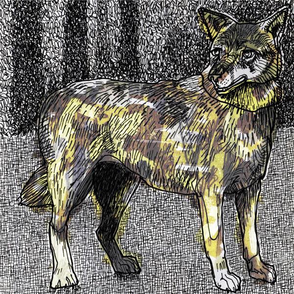 Janhui - Front Cover