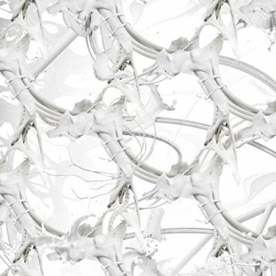 U Feel Anything? - Front Cover