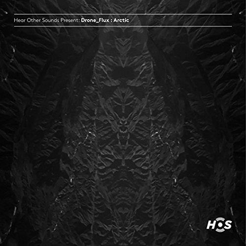 Flux/Artic - Front Cover
