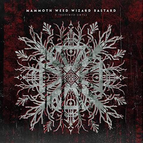 Y Proffwyd Dwyll (Edition limitÃ©e - Front Cover