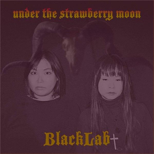 Under the strawberry moon - Front Cover