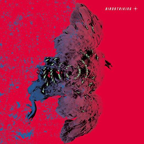 Birdstriking (180gr -Clear vinyl - Face D dessin - Front Cover