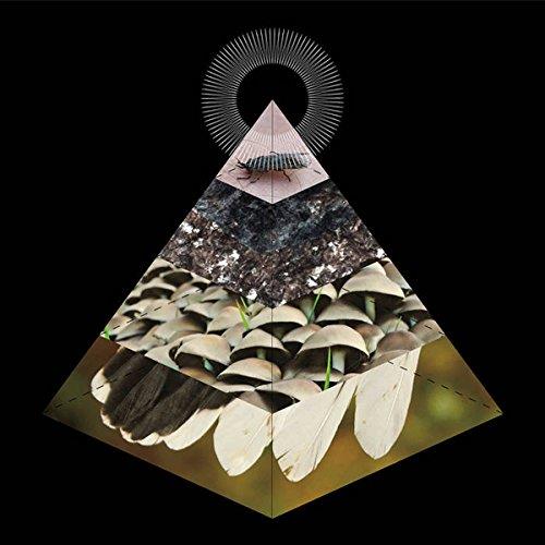 Apophenia - Front Cover