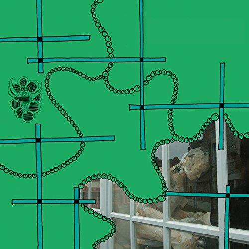 To Make A Fool Ask, And You Are The First - Front Cover