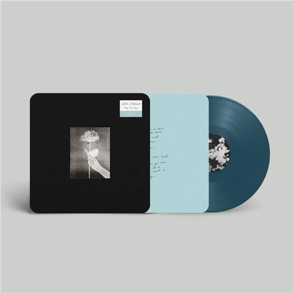 Day By Day/Blue Vinyl - Front Cover