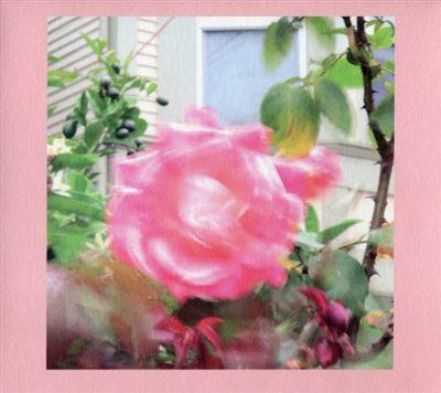 Summer at Land's End/Limited Pale Green Stars Vinyl - Front Cover