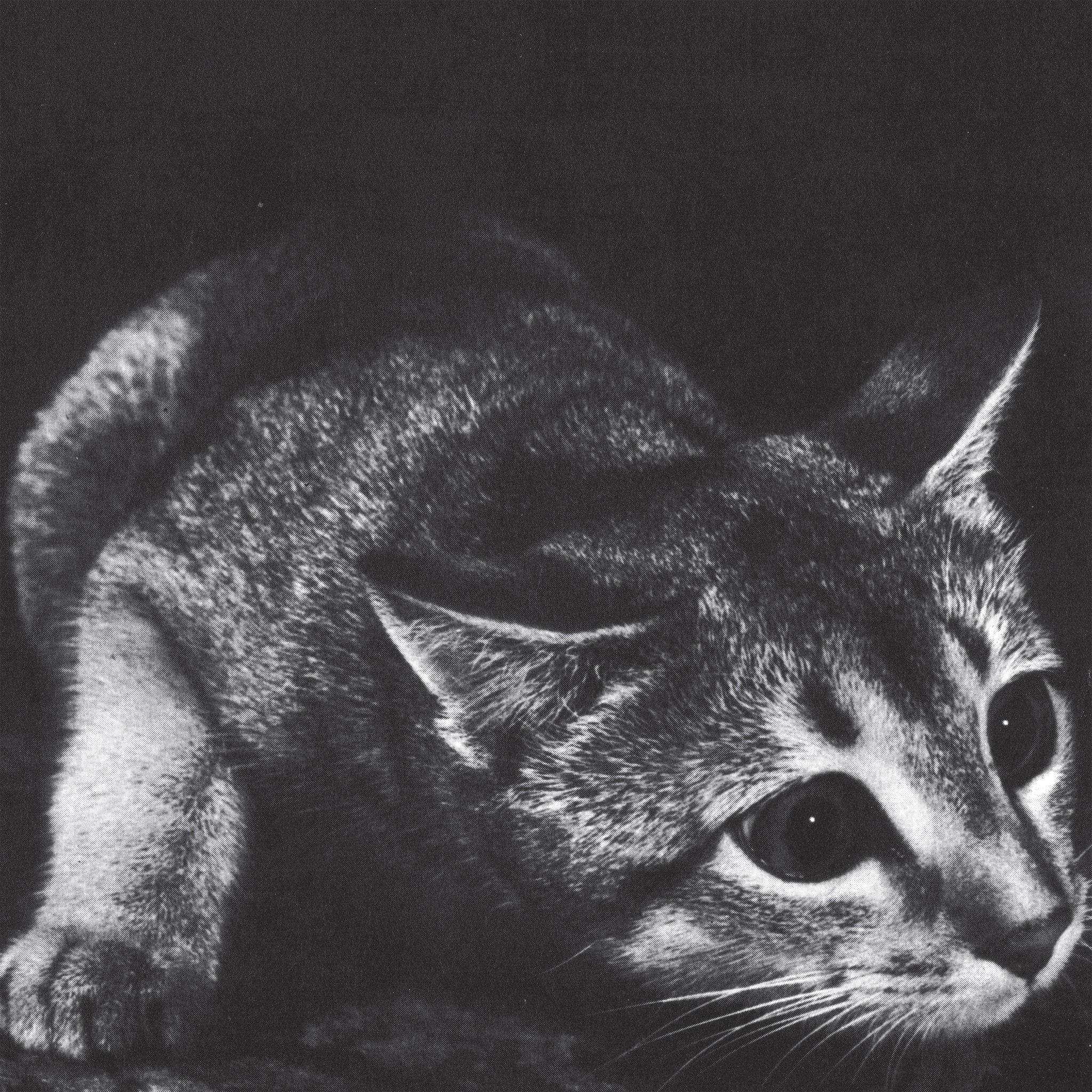 Cindy (Re-issue) - Front Cover