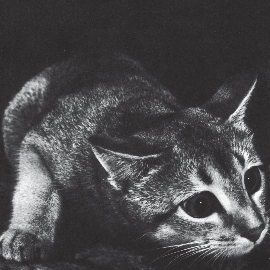 Cindy (Re-issue) - Front Cover