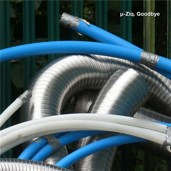 Goodbye - Front Cover