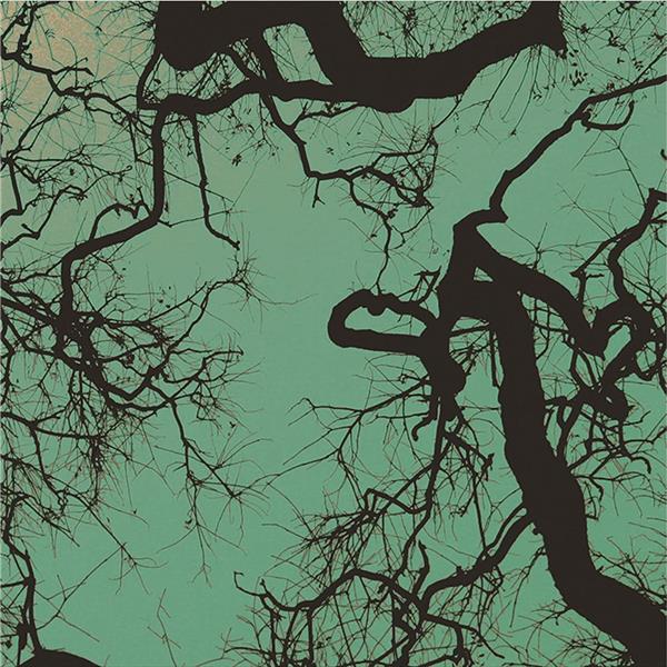 Föllakzoid/Limited Galaxy Green LP - Front Cover