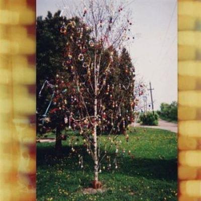 A Golden Brain - Front Cover