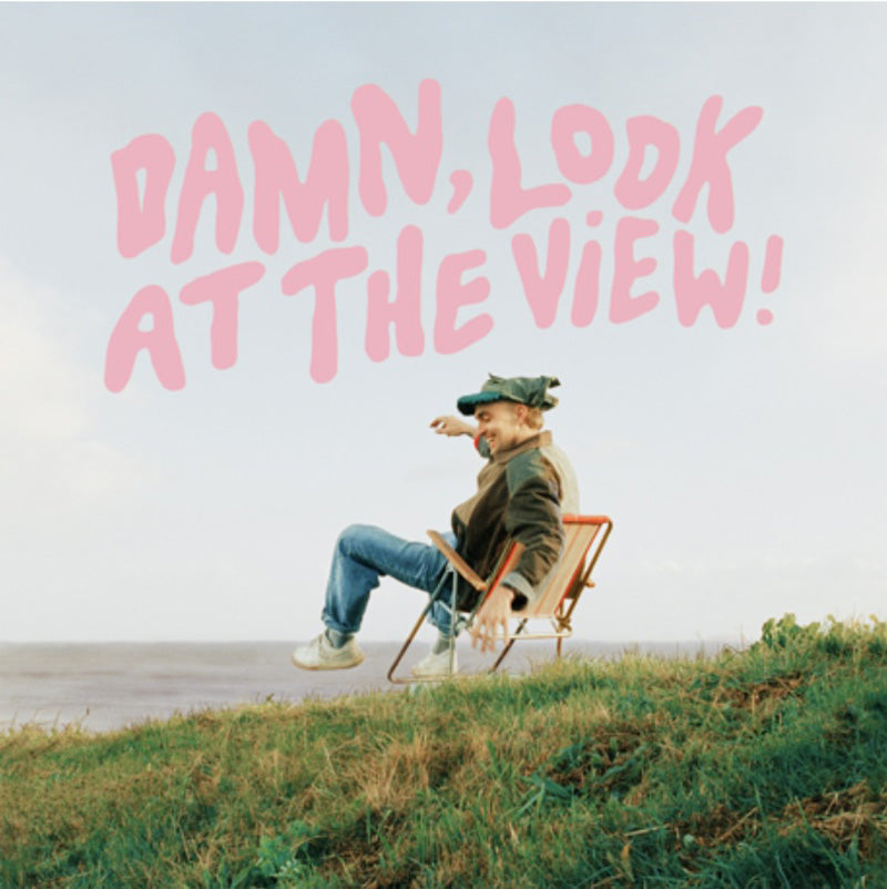 DAMN LOOK AT THE VIEW - Front Cover