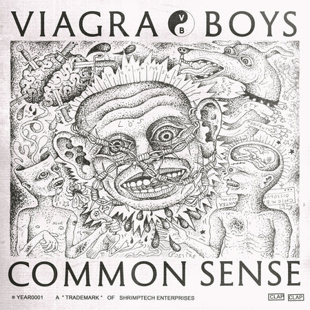 Common Sense - Front Cover