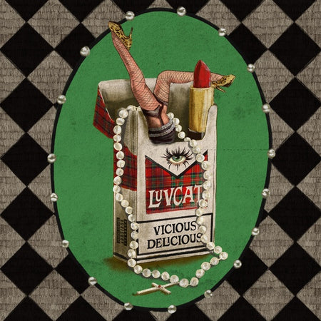 Vicious Delicious - Front Cover