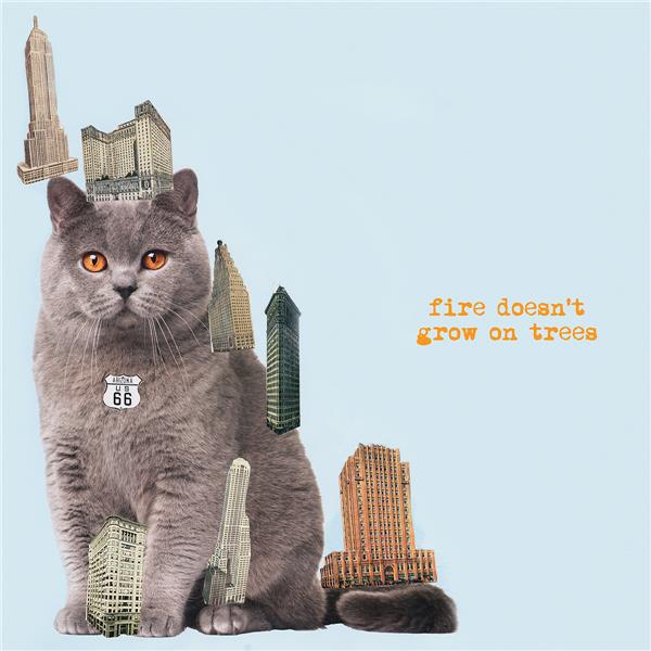 Fire Doesn’t Grow On Trees/180g Vinyl - Front Cover
