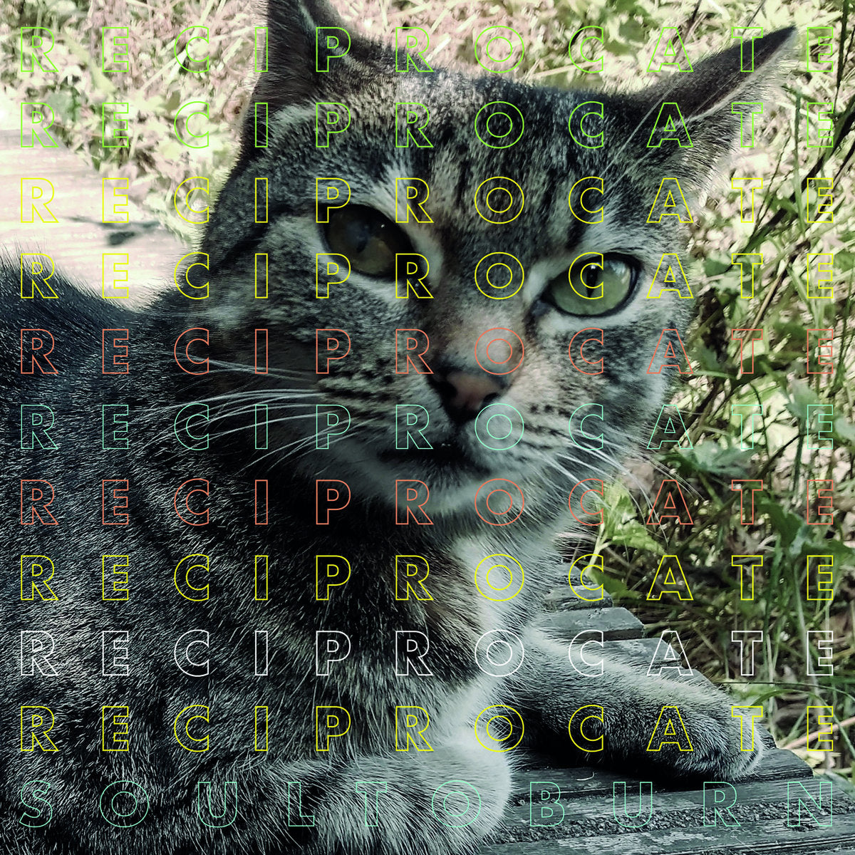 Soul To Burn - Front Cover