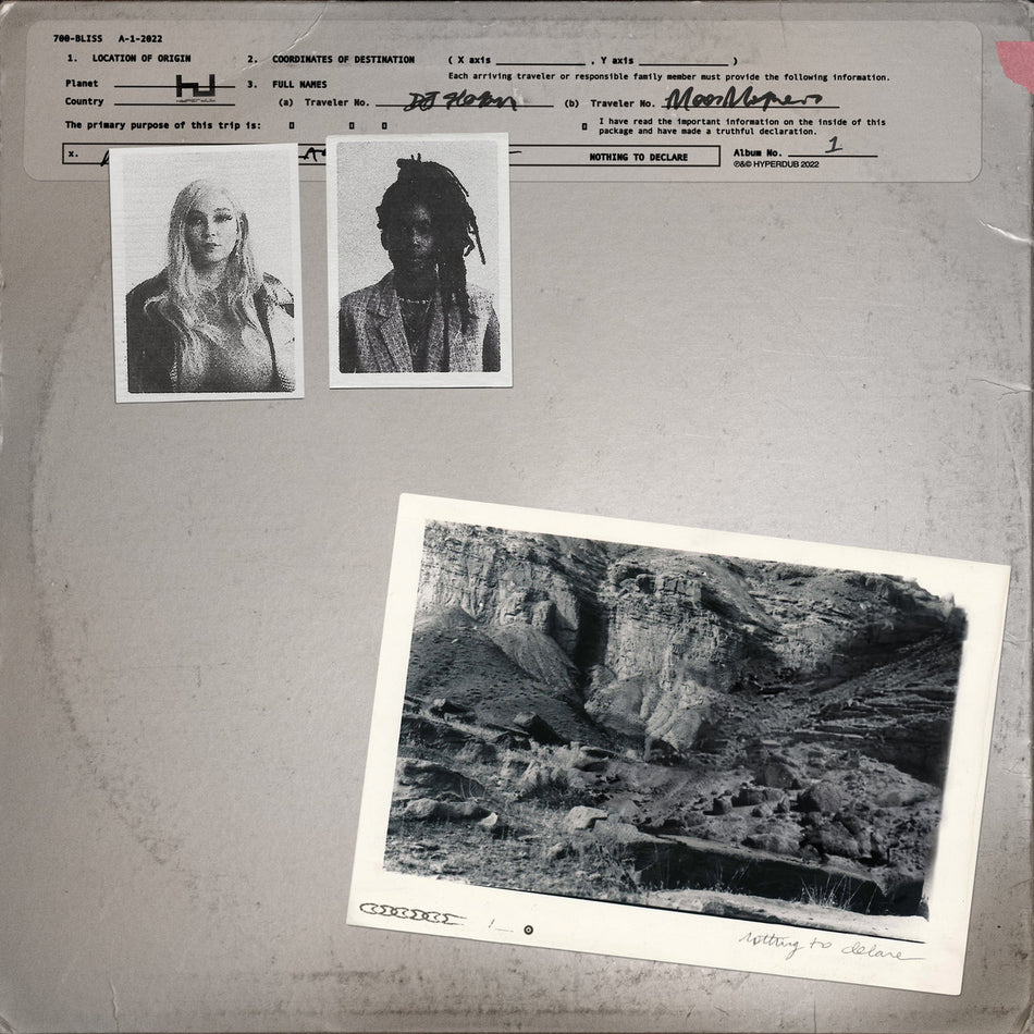 Nothing To Declare - Front Cover