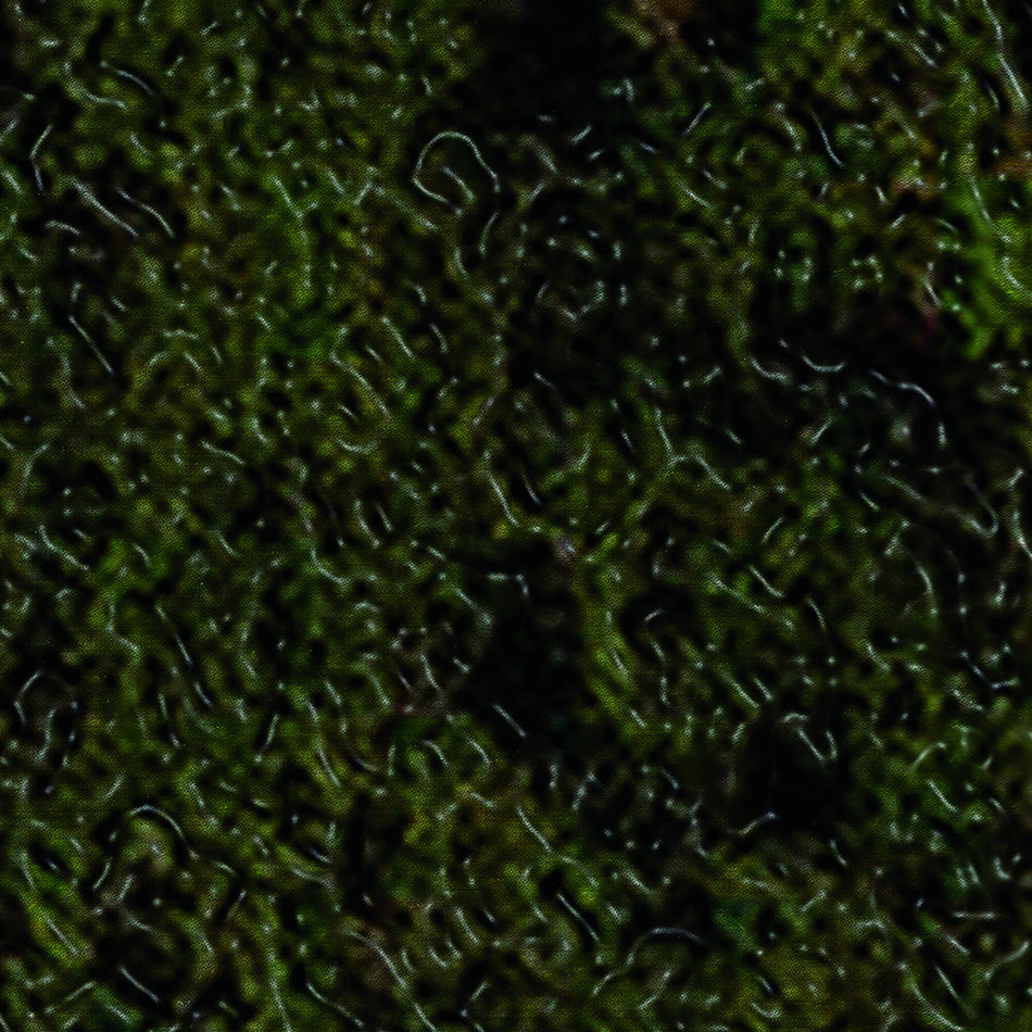 Swamp Harbour - Front Cover