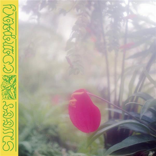 Sweet Company - Front Cover