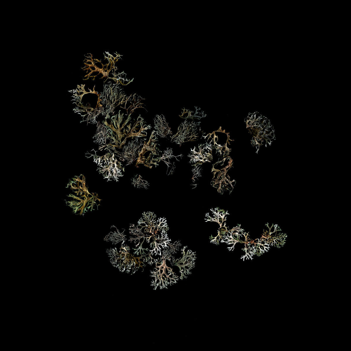 Return - Front Cover