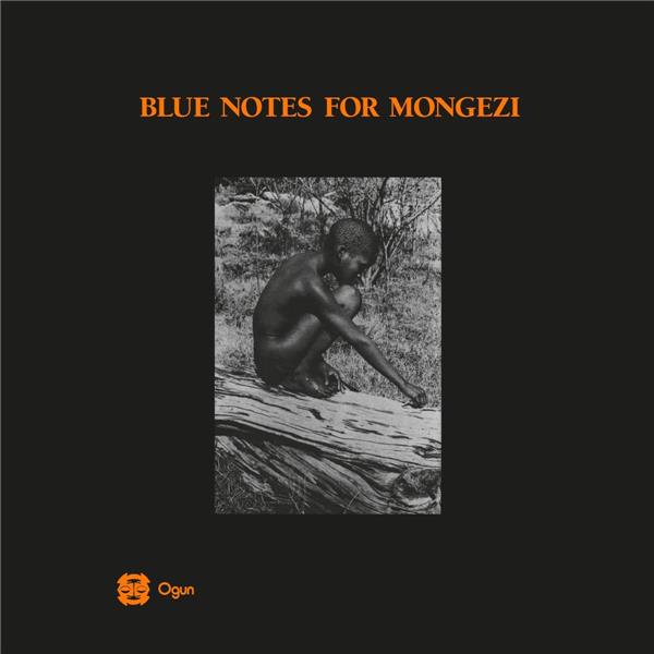 Blue Notes For Mongezi - Front Cover