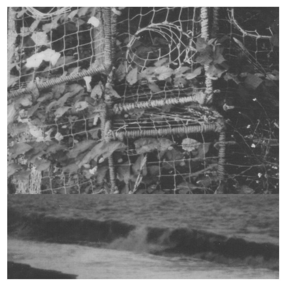 The Processes And Instruments Of Normal People/Clear Vinyl - Front Cover