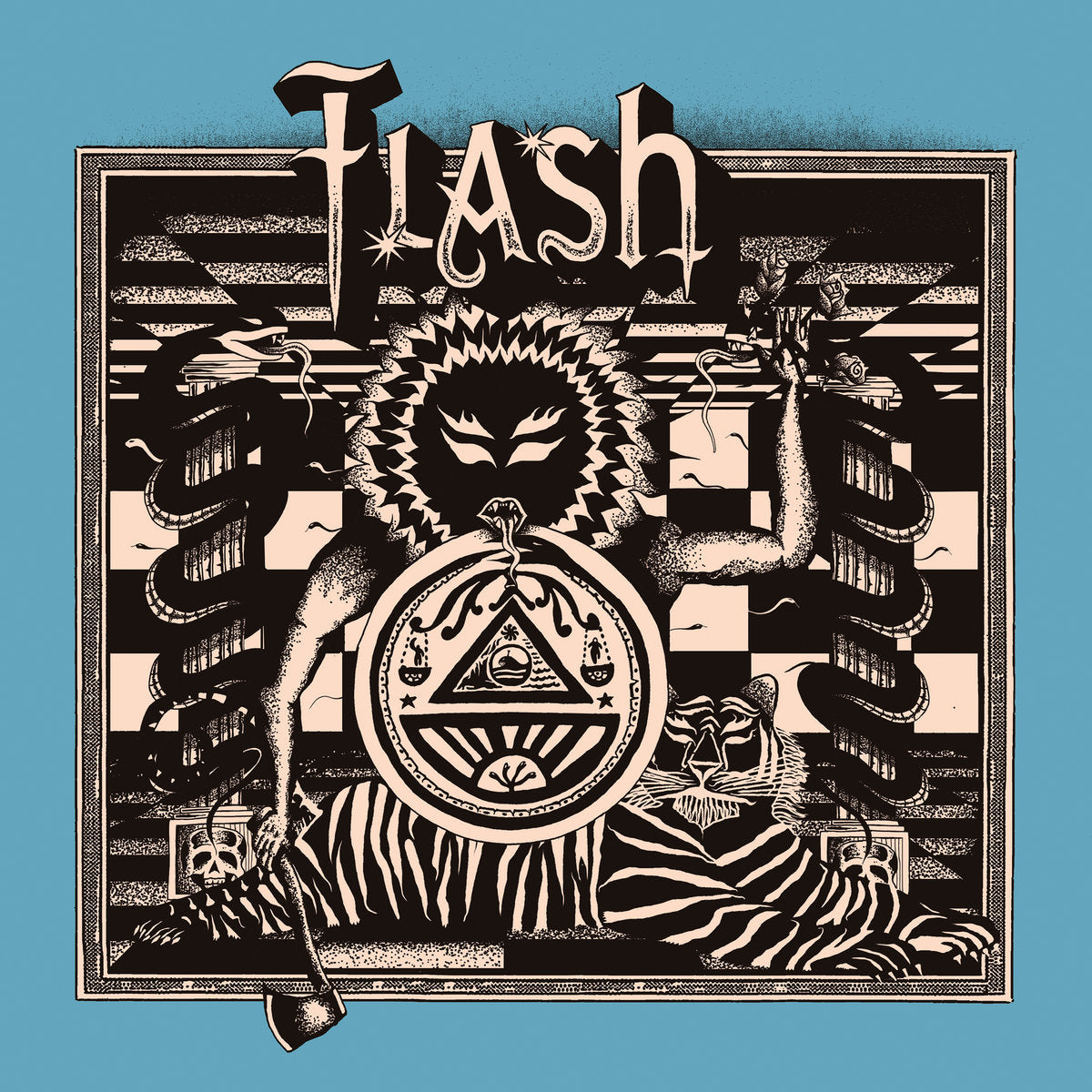 Flash - Front Cover