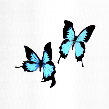 Tear - Front Cover